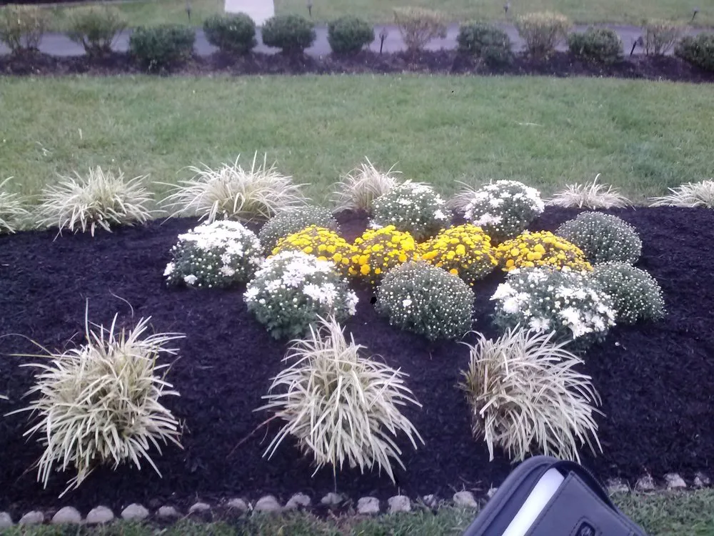 Affordable yard maintenance for year-round maintenance across Mount Airy, MD - TRM
