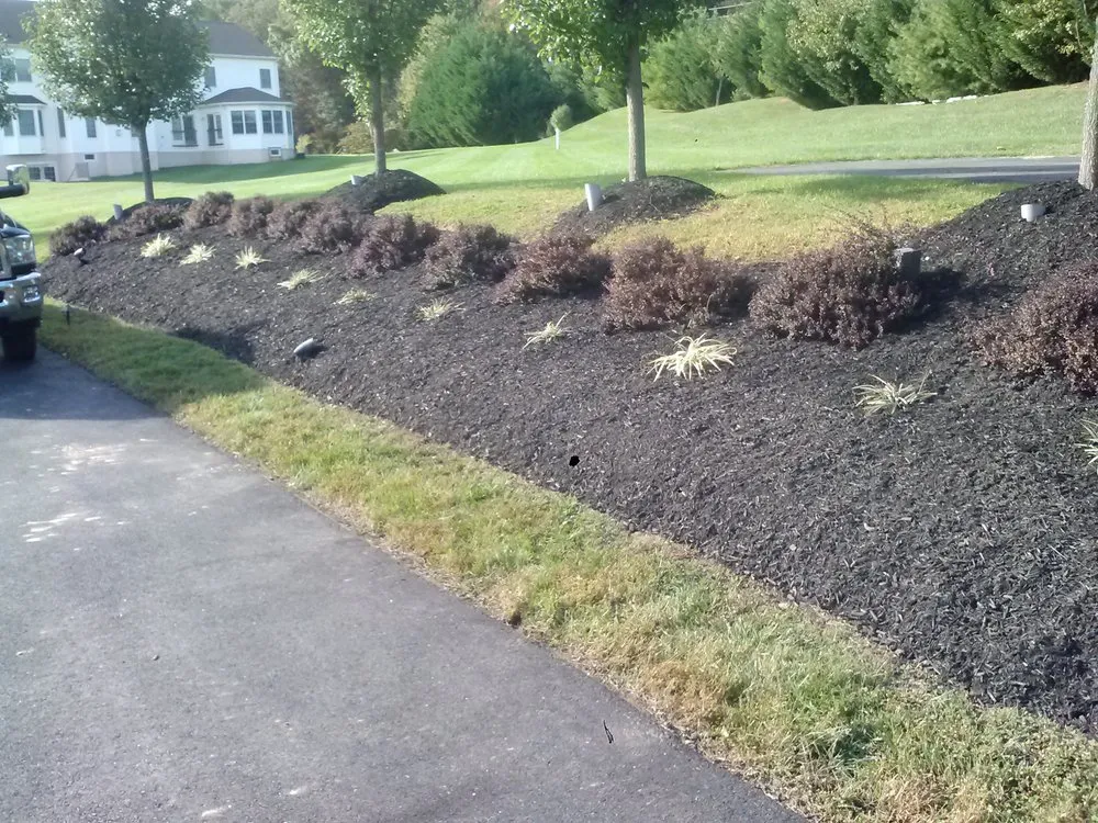 Affordable yard cleanup service in Mount Airy, MD - TRM