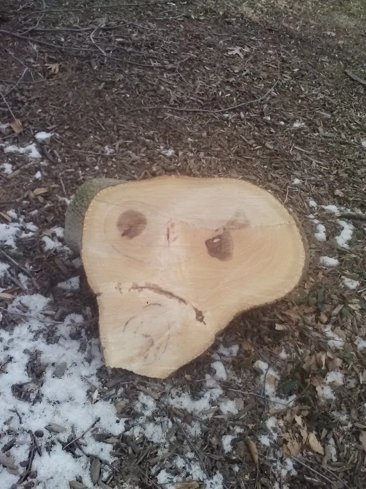 Expert yard maintenance experts serving Mount Airy, MD - TRM