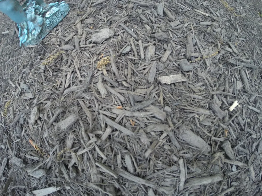 Professional landscape installation for residential properties across Mount Airy, MD - TRM