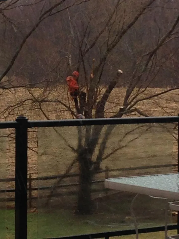 Custom lawn mowing service in Mount Airy, MD - TRM