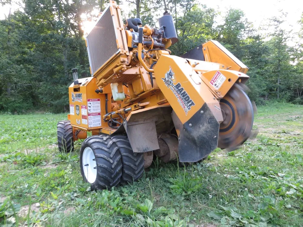 Affordable outdoor landscaping for year-round maintenance in Mount Airy, MD by TRM