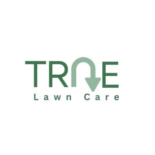 Trusted yard cleanup service for residential properties in Wimauma, FL by TRNE Lawn Care