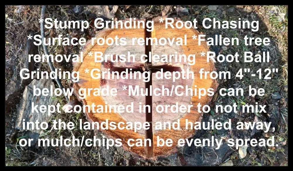 Trusted residential landscaping for beautiful yards across Sacramento, CA - Trocki Land Maintenance