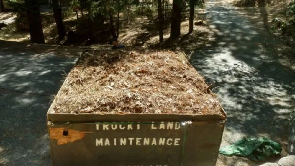 Top-rated residential landscaping for homes in Sacramento, CA by Trocki Land Maintenance