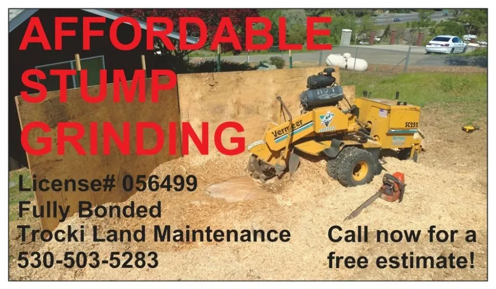 Expert yard maintenance in Sacramento, CA - Trocki Land Maintenance
