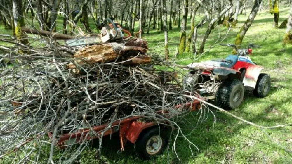 Top-rated landscape installation in Sacramento, CA - Trocki Land Maintenance