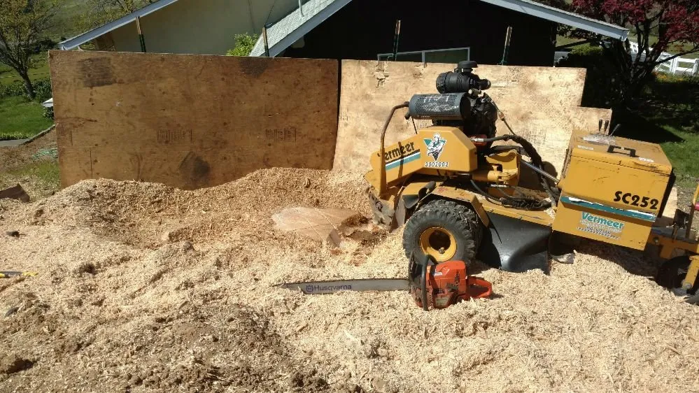 Reliable landscaping services in Sacramento, CA by Trocki Land Maintenance