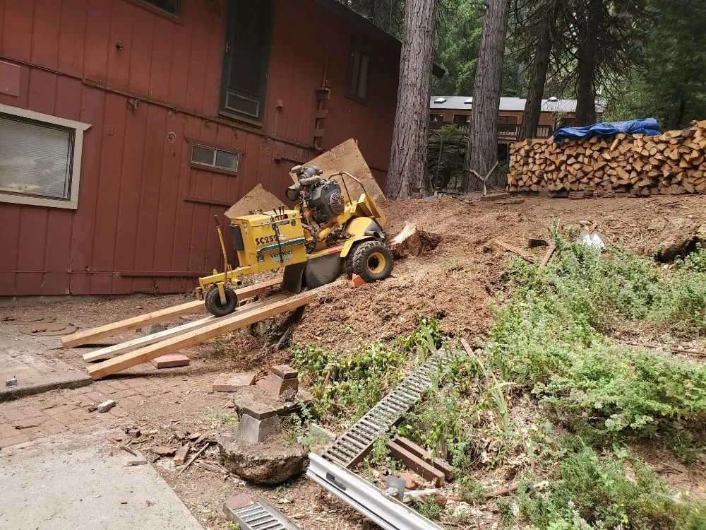 Local lawn care service experts serving Sacramento, CA - Trocki Land Maintenance