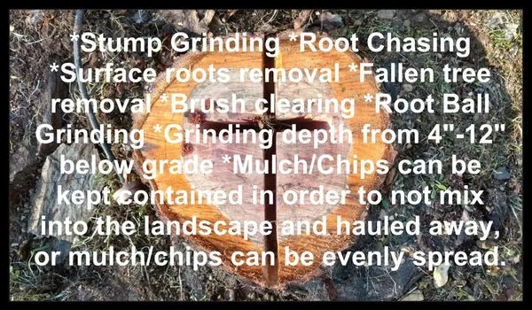 Trocki Land Maintenance Logo