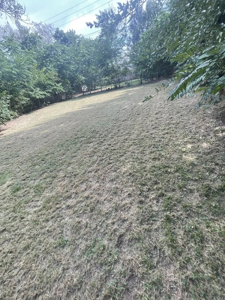 Affordable garden landscaping for homes across Moore, OK - Trojan Lawn Care