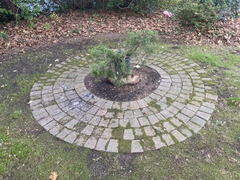 Trusted lawn care service experts serving East Northport, NY - Tromblee Property Services