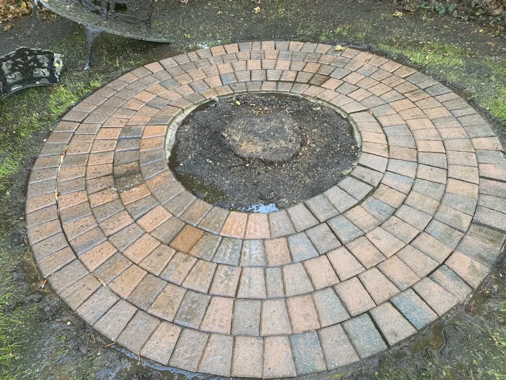 Trusted landscaping services in East Northport, NY - Tromblee Property Services