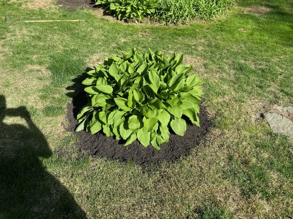 Top-rated lawn care service in East Northport, NY - Tromblee Property Services