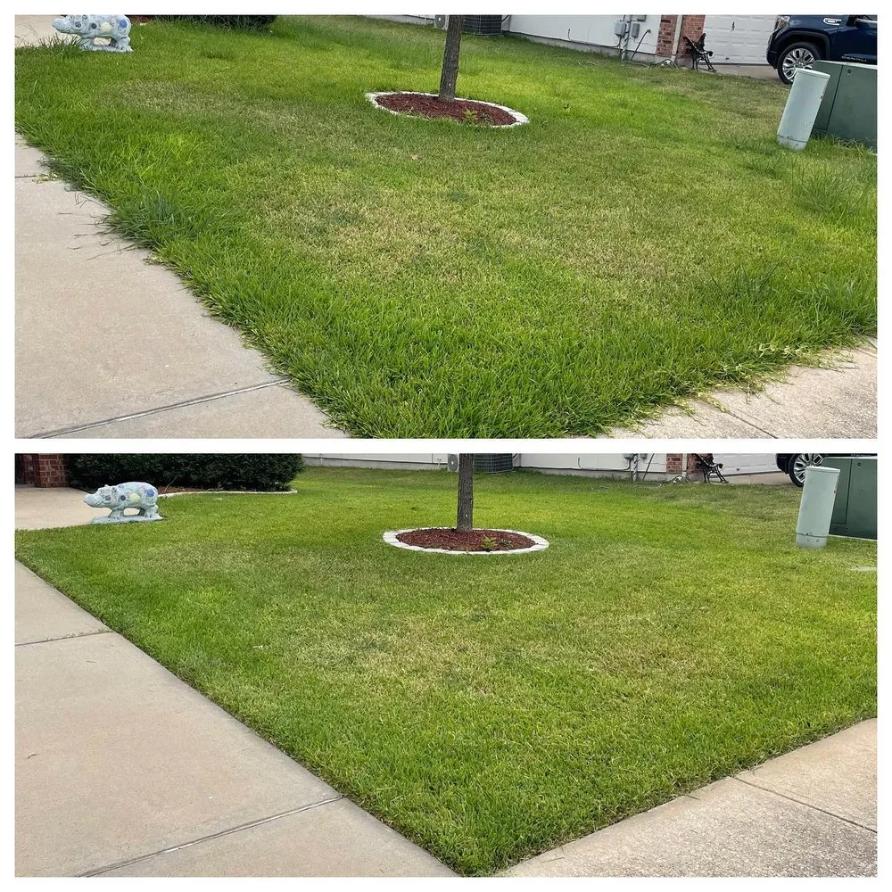 Local lawn care service for year-round maintenance across Hutto, TX - Troops Mowing