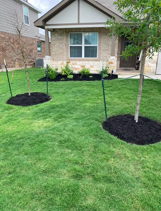 Top-rated residential landscaping in Hutto, TX - Troops Mowing