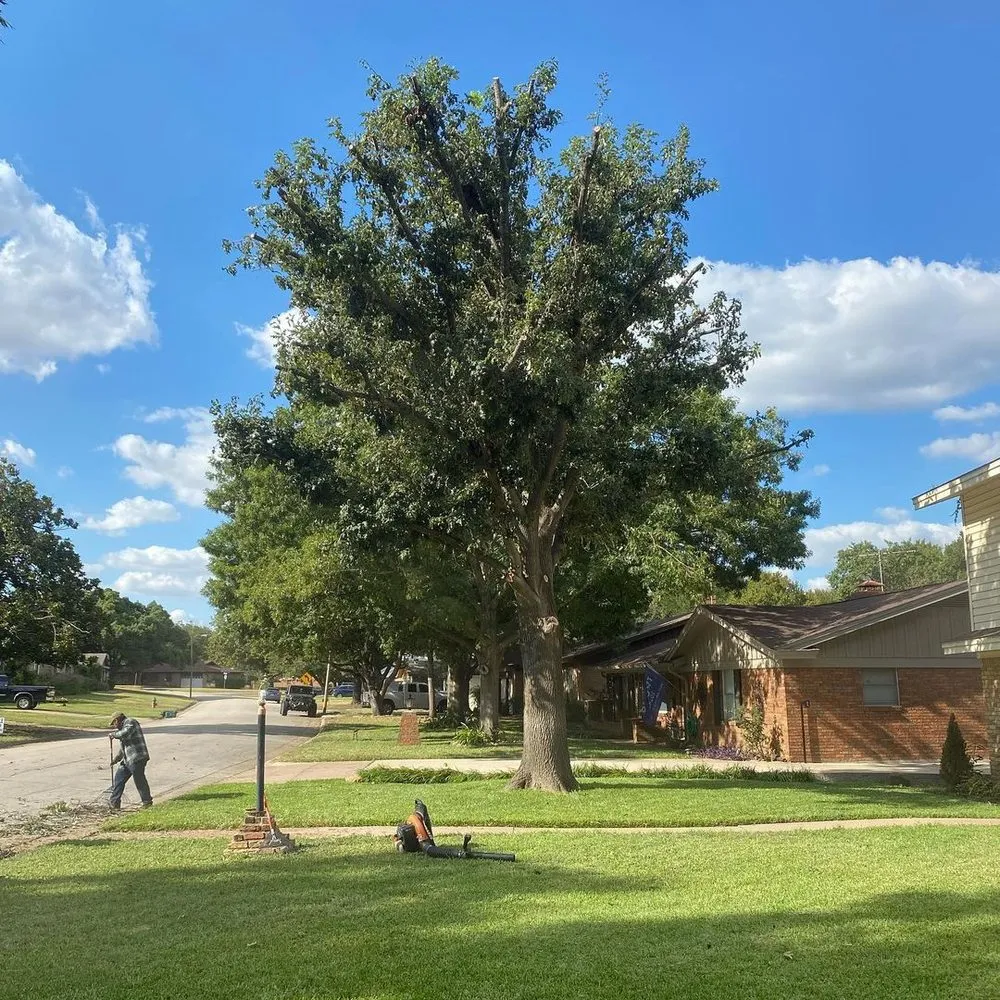 Trusted lawn care service experts serving Westlake, TX - Trophy Club Tree Service