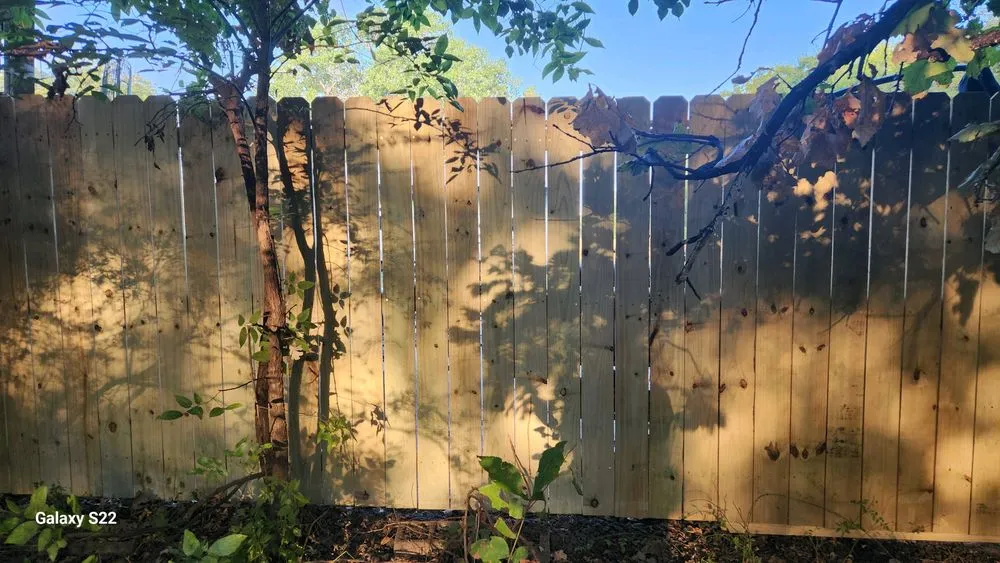 Trusted yard maintenance in Burleson, TX - Trophy First Fencing & Construction