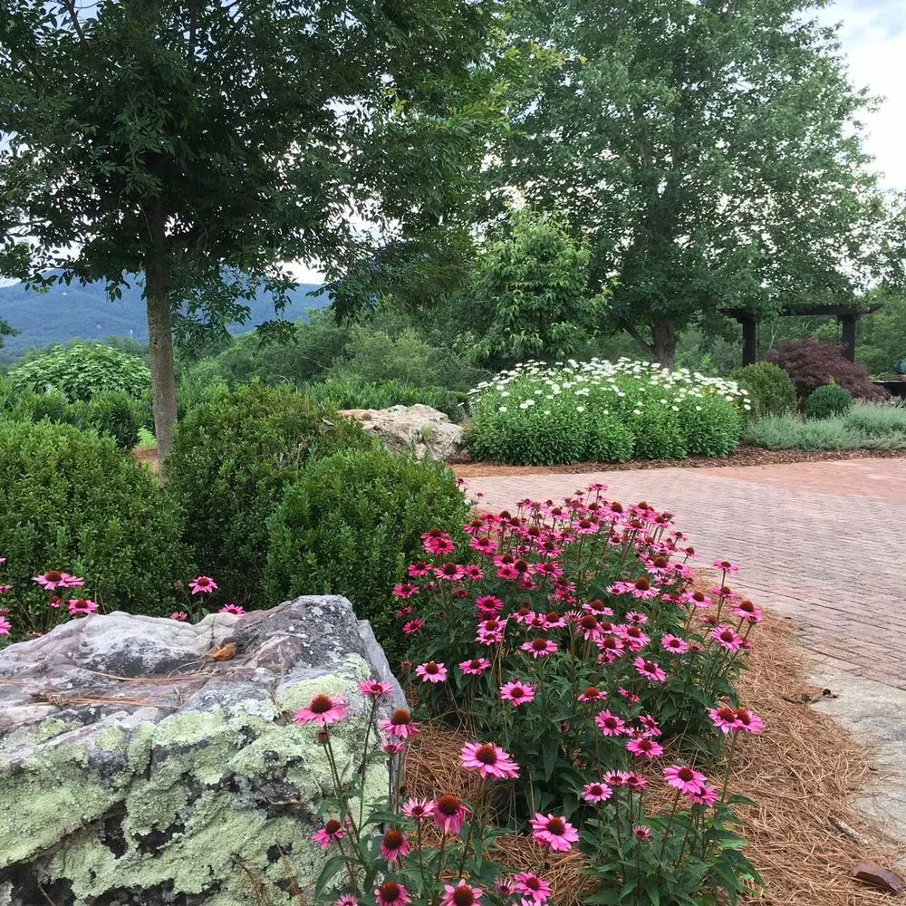 Expert landscaping services in Clarkesville, GA by Trophy Landscape Design