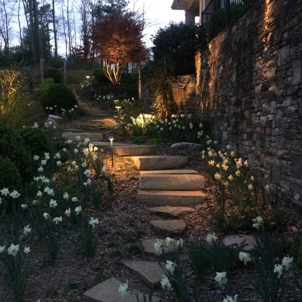 Local landscape installation in Clarkesville, GA by Trophy Landscape Design