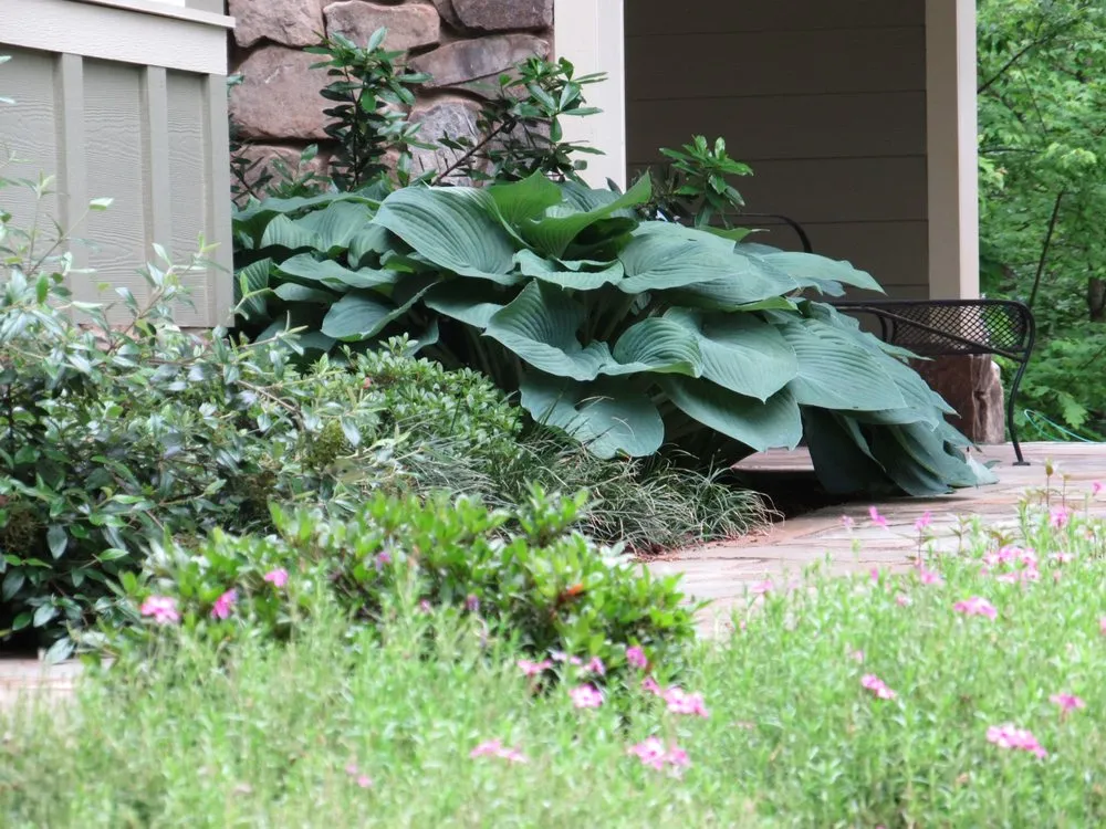 Top-rated outdoor landscaping for residential properties in Clarkesville, GA by Trophy Landscape Design