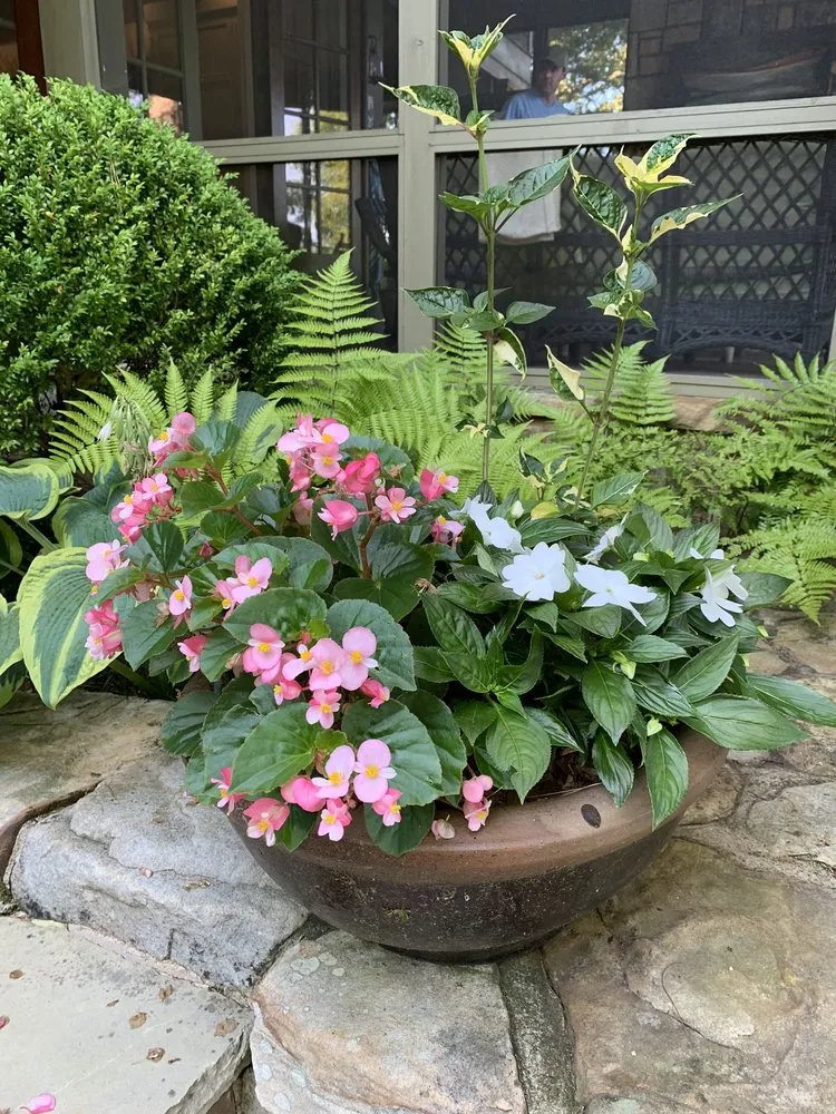 Reliable landscape installation in Clarkesville, GA by Trophy Landscape Design