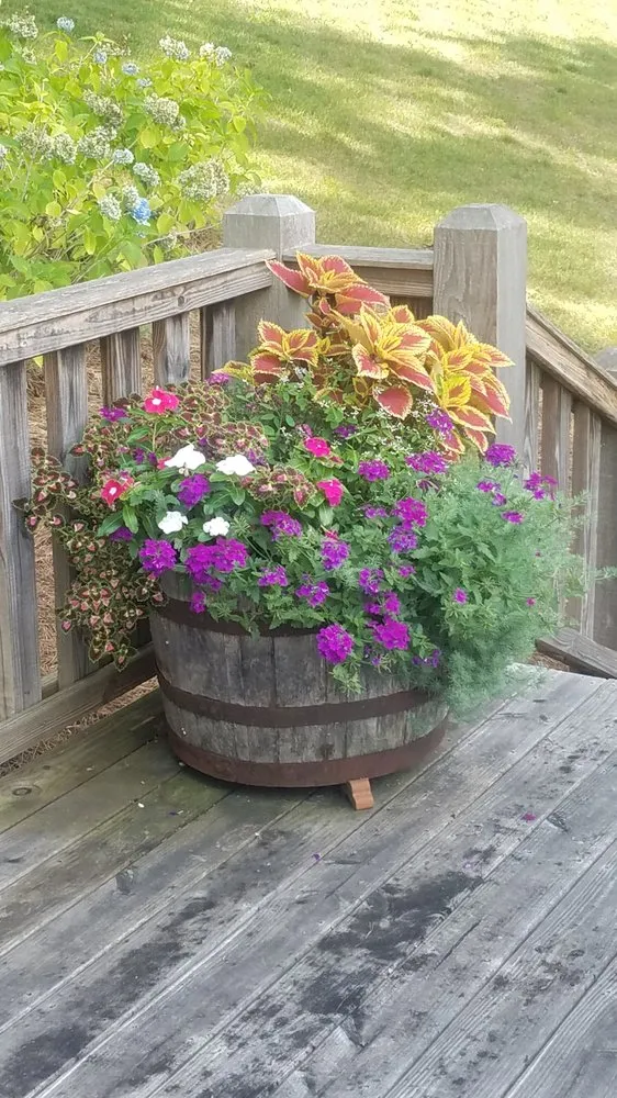 Top-rated yard maintenance near you in Clarkesville, GA by Trophy Landscape Design