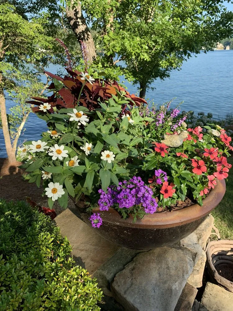 Affordable outdoor landscaping experts serving Clarkesville, GA - Trophy Landscape Design