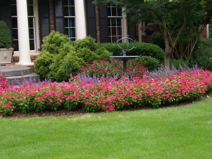 Trusted yard cleanup service near you across Clarkesville, GA - Trophy Landscape Design