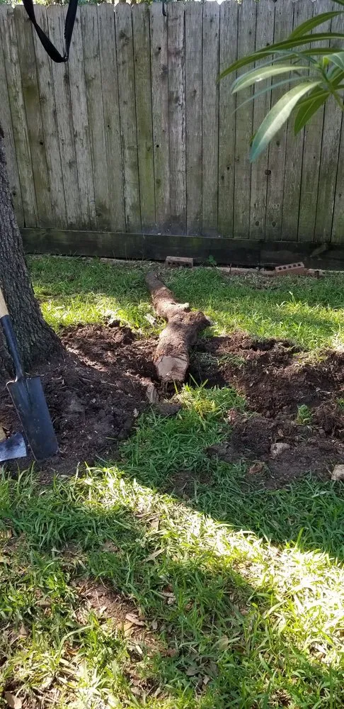 Expert landscape design near you across Katy, TX - Trophy Landscaping & Irrigation