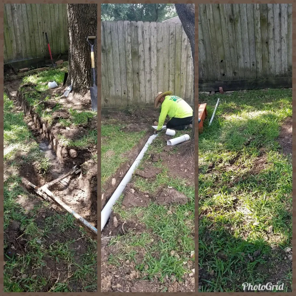 Professional landscaping services for year-round maintenance in Katy, TX by Trophy Landscaping & Irrigation