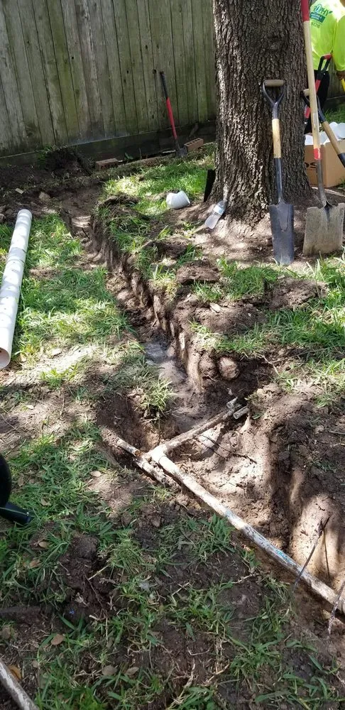 Local landscape design in Katy, TX by Trophy Landscaping & Irrigation