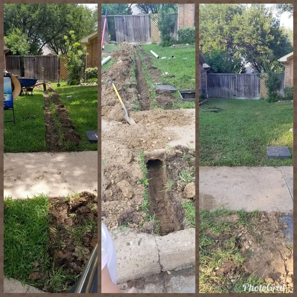 Affordable yard cleanup service in Katy, TX by Trophy Landscaping & Irrigation
