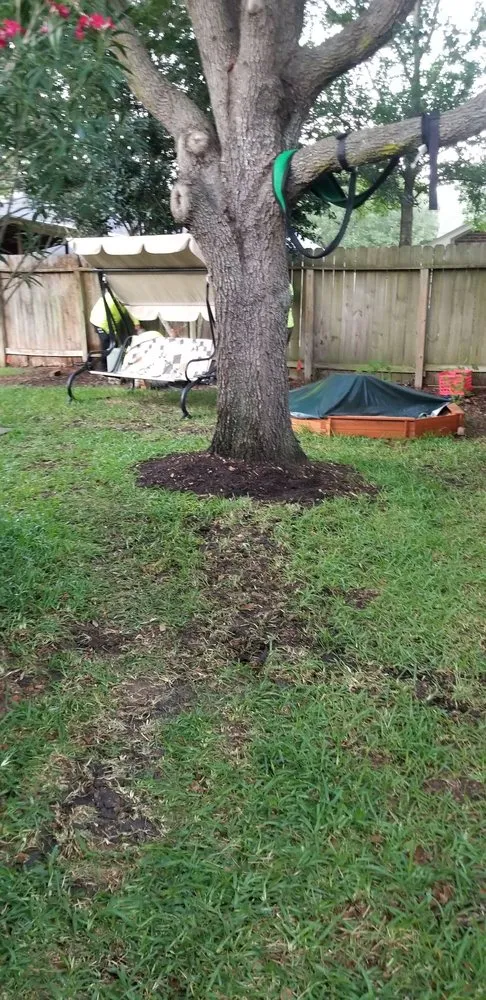 Trusted lawn care service in Katy, TX by Trophy Landscaping & Irrigation