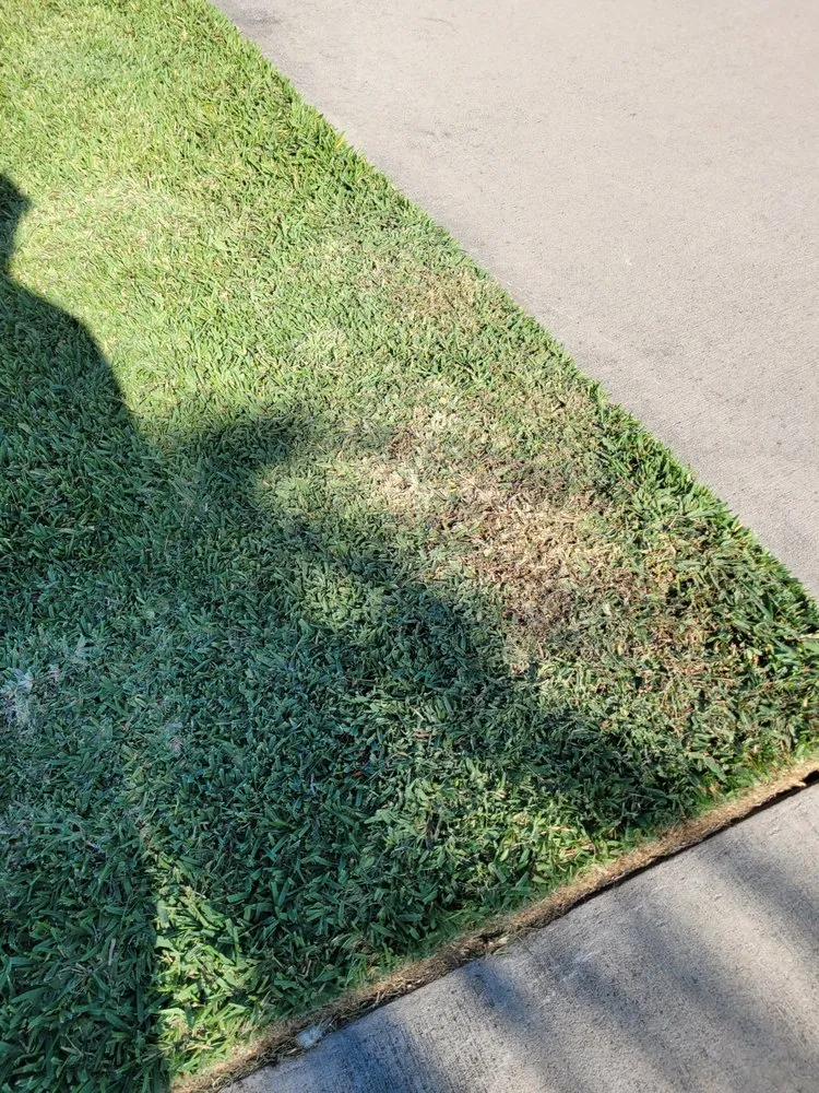 Reliable lawn mowing service for homes in Melbourne, FL by Tropic-Care of Florida, INC