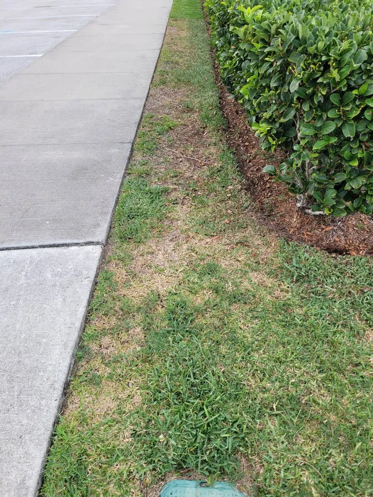 Local lawn mowing service near you in Melbourne, FL by Tropic-Care of Florida, INC