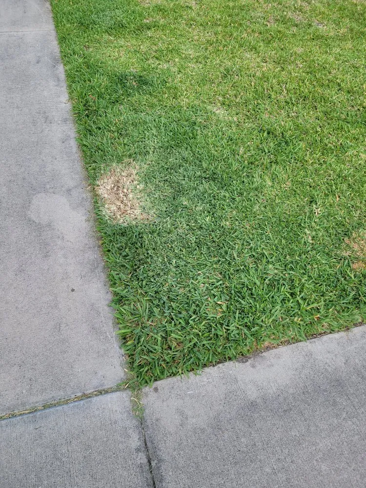 Expert landscape design in Melbourne, FL by Tropic-Care of Florida, INC