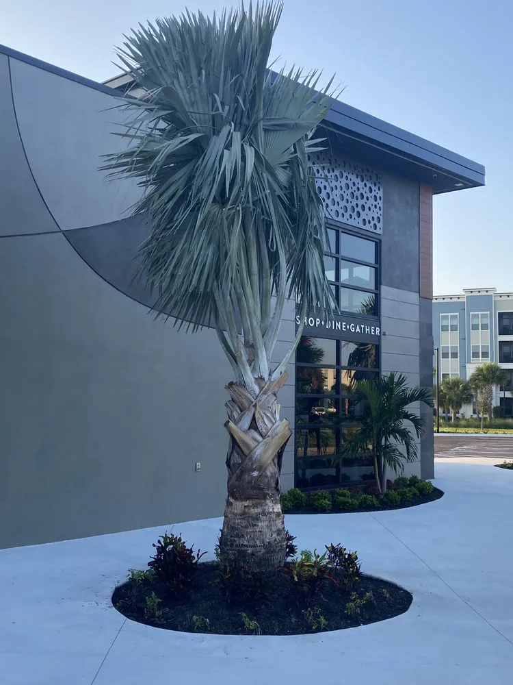 Custom residential landscaping experts serving Melbourne, FL - Tropic-Care of Florida, INC