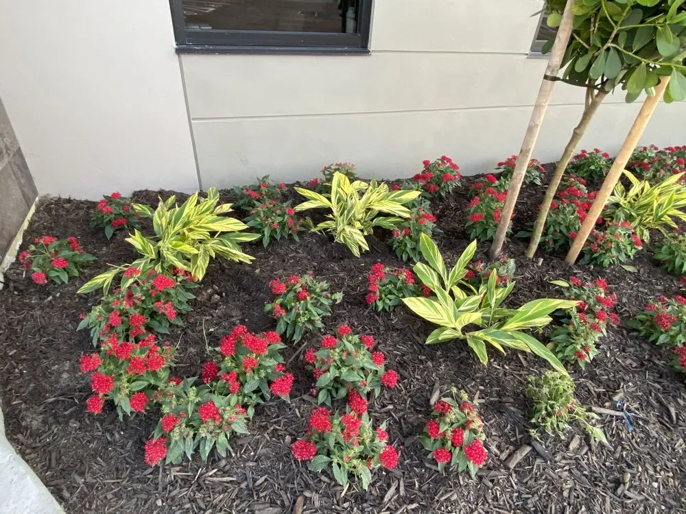 Top-rated landscape design in Melbourne, FL by Tropic-Care of Florida, INC