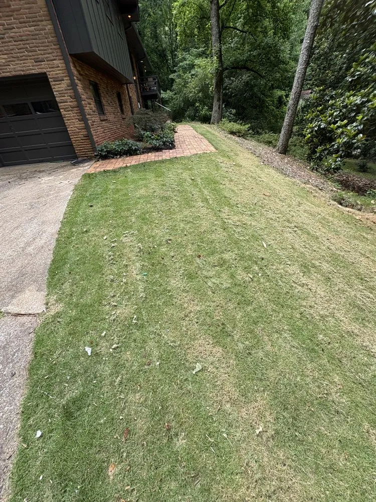 Local yard cleanup service in Irondale, AL by Tropic Trims