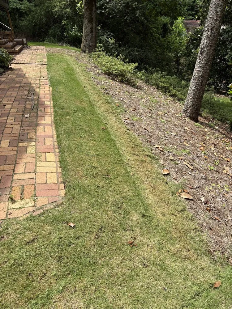 Reliable yard cleanup service in Irondale, AL - Tropic Trims