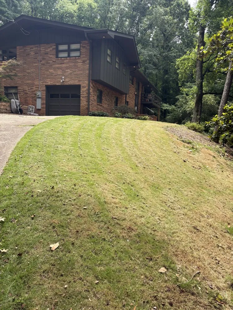 Affordable lawn care service in Irondale, AL by Tropic Trims