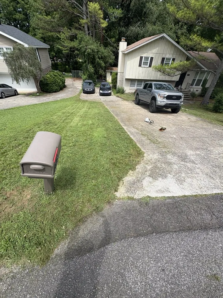 Trusted yard cleanup service experts serving Irondale, AL - Tropic Trims