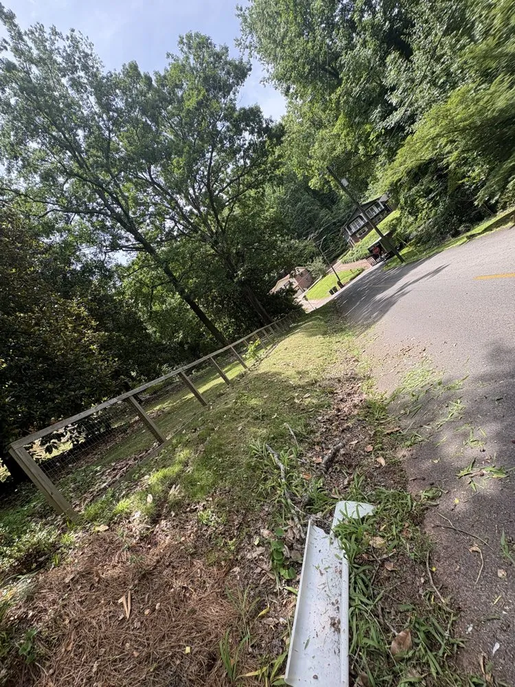 Professional landscape design in Irondale, AL - Tropic Trims