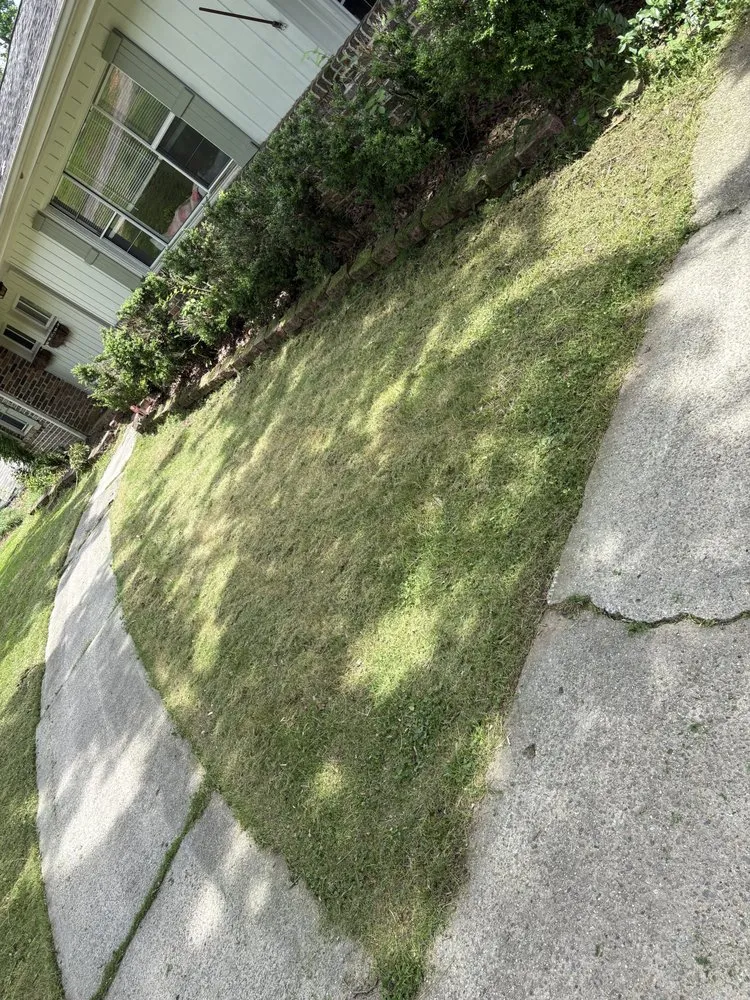 Custom yard cleanup service for homes in Irondale, AL by Tropic Trims