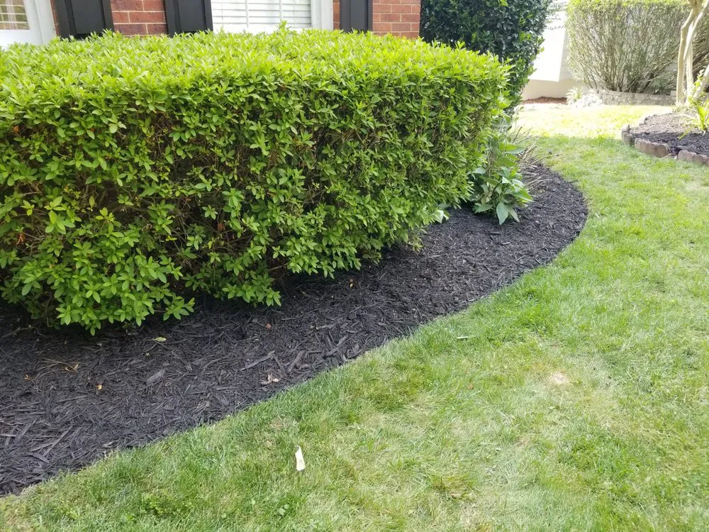 Trusted lawn care service for year-round maintenance in Acworth, GA by Tropical Creations