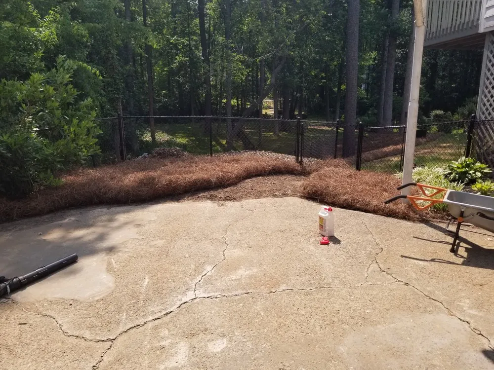 Professional landscape installation for beautiful yards across Acworth, GA - Tropical Creations