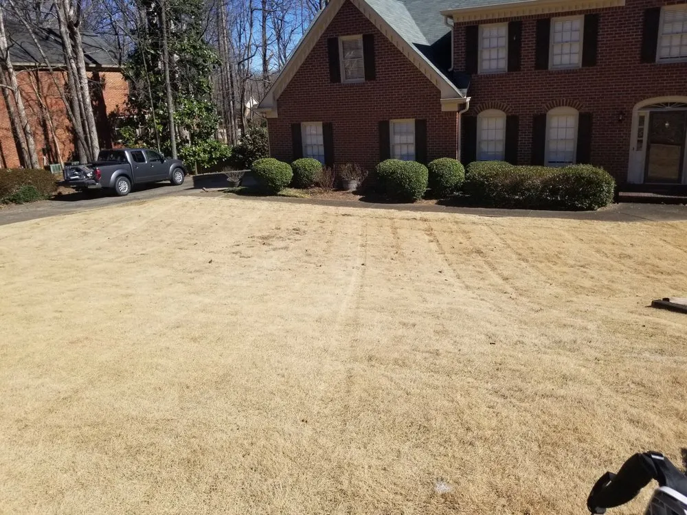 Reliable outdoor landscaping for beautiful yards across Acworth, GA - Tropical Creations