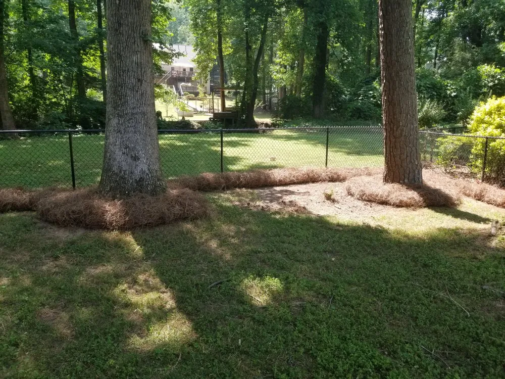 Top-rated landscaping services for homes in Acworth, GA by Tropical Creations