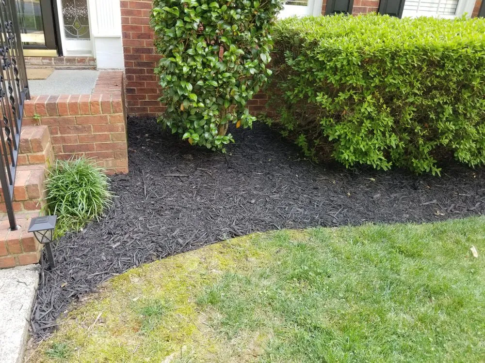 Custom landscaping services in Acworth, GA by Tropical Creations